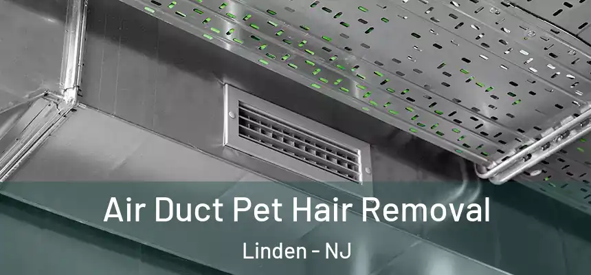  Air Duct Pet Hair Removal Linden - NJ