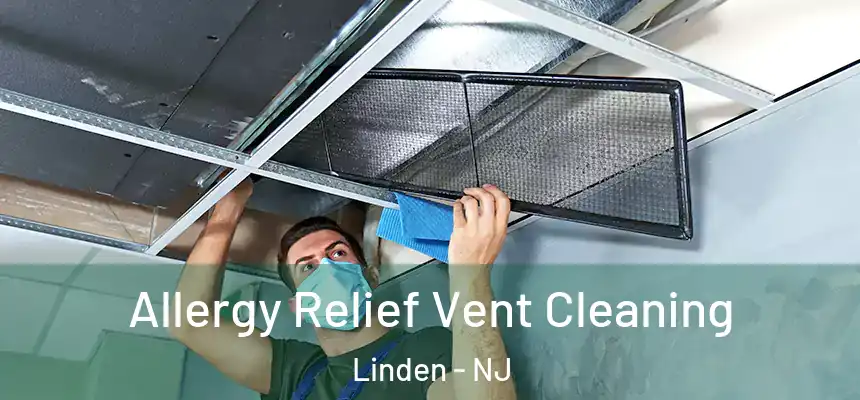  Allergy Relief Vent Cleaning Linden - NJ