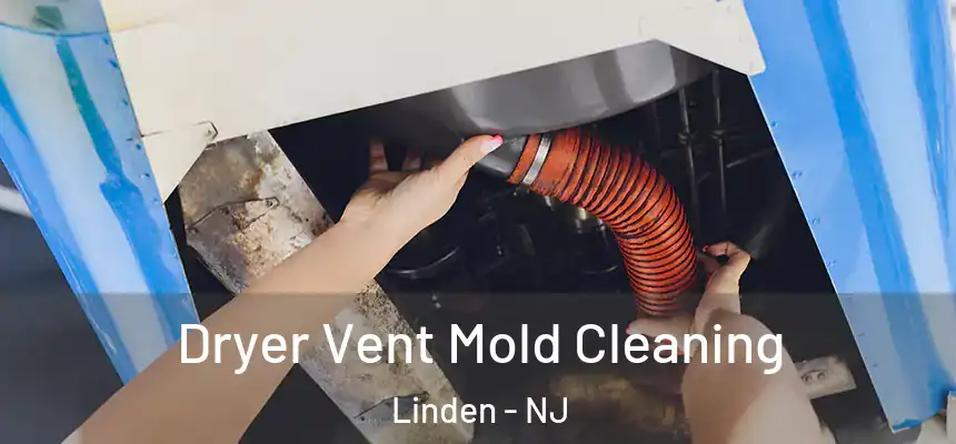  Dryer Vent Mold Cleaning Linden - NJ