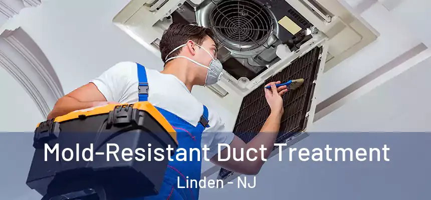  Mold-Resistant Duct Treatment Linden - NJ