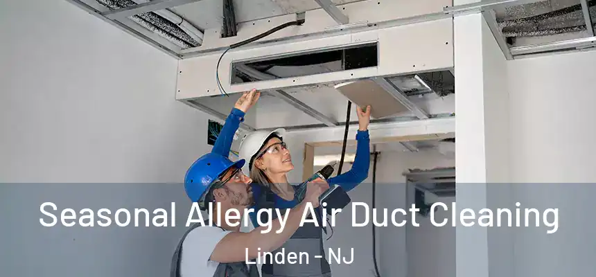 Seasonal Allergy Air Duct Cleaning Linden - NJ