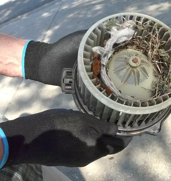 About Air Duct Mice Removal in Linden, NJ