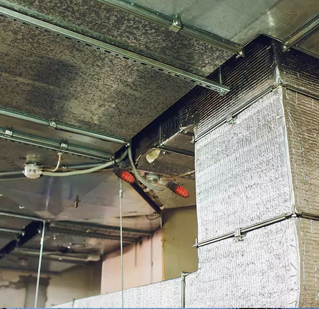 Why Homeowners & Businesses Trust Us in Linden, NJ?