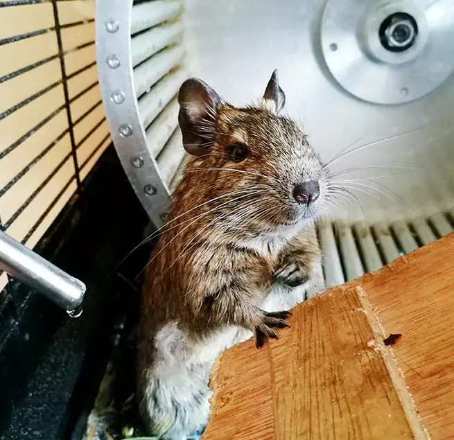 Why Homeowners & Businesses Trust Us Linden, NJ