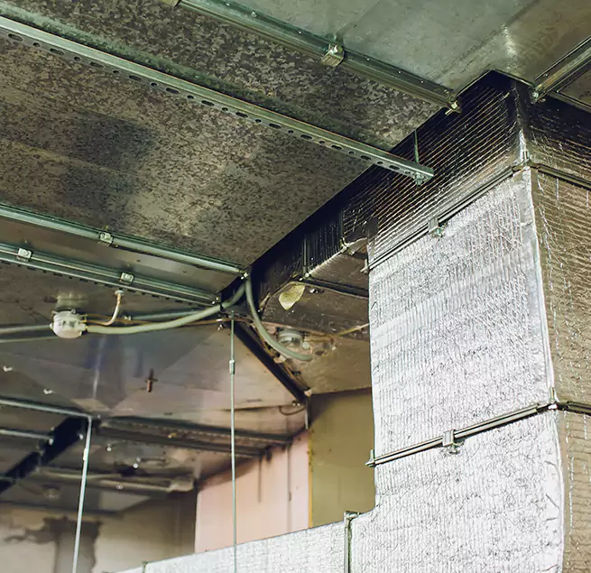 Why Homeowners & Businesses Trust Us in Linden, NJ?